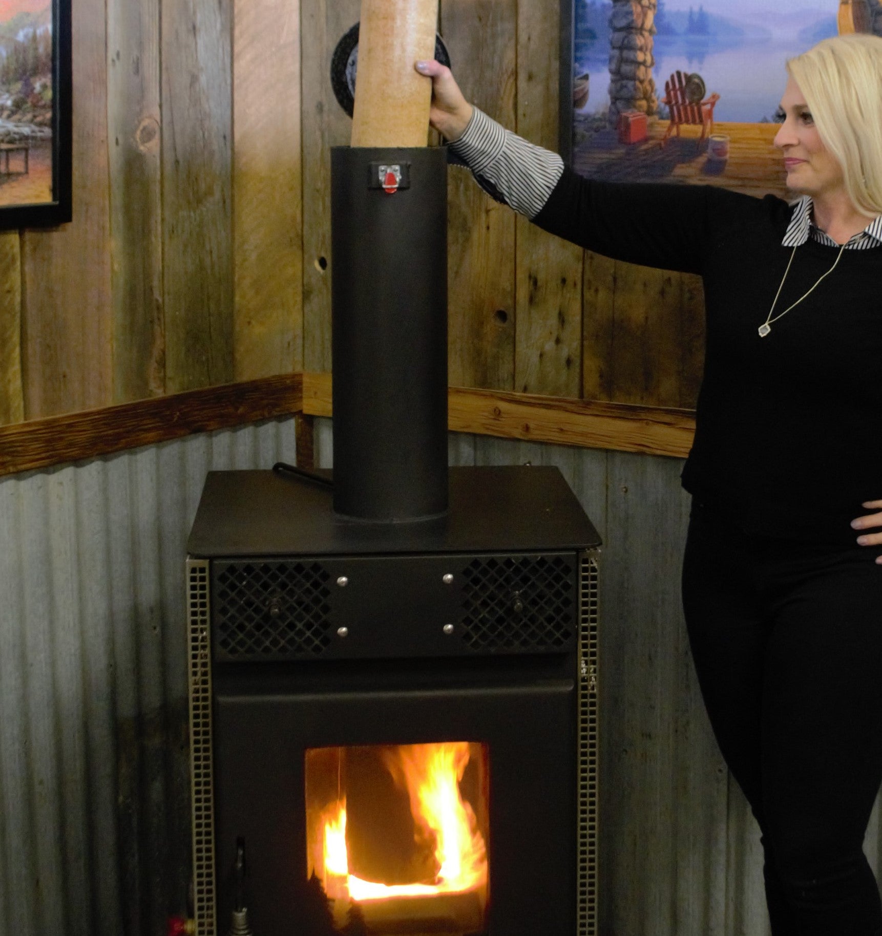 Pellet Stove Options and The Other Types